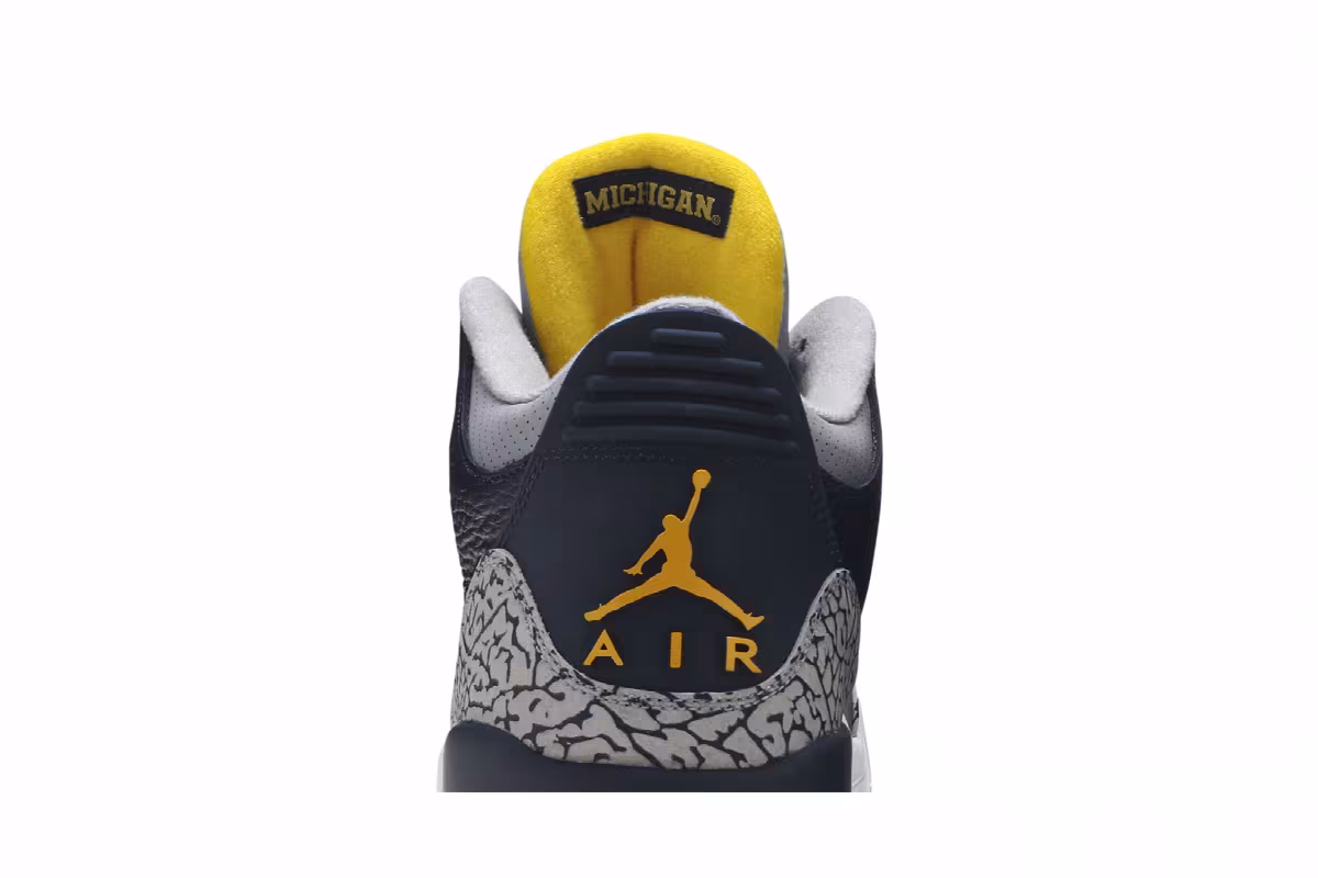 Air Jordan 3 Michigan Wolverines, view 8