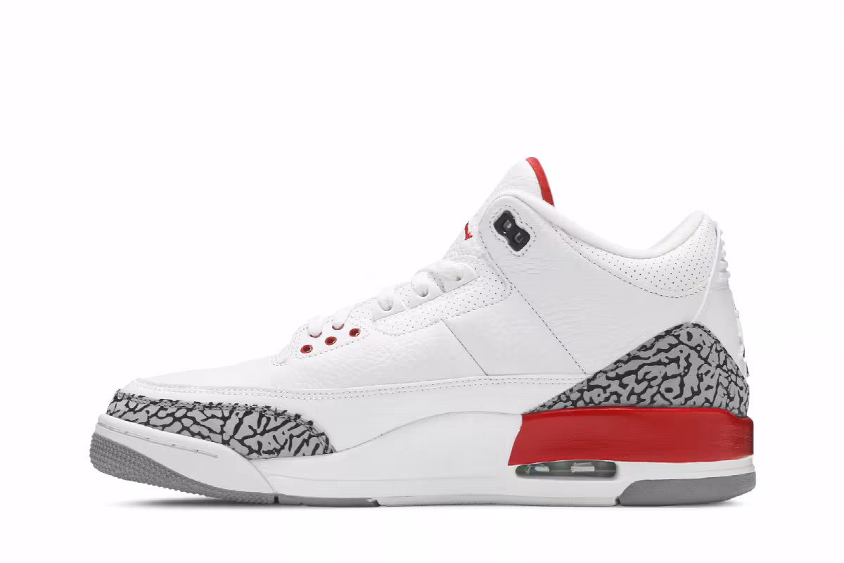 Sneaker Politics x Air Jordan 3 Hall of Fame, view 4