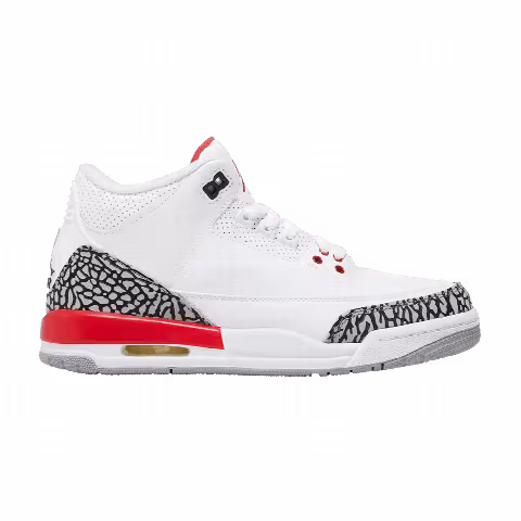 Sneaker Politics x Air Jordan 3 Retro GS 'Hall of Fame'