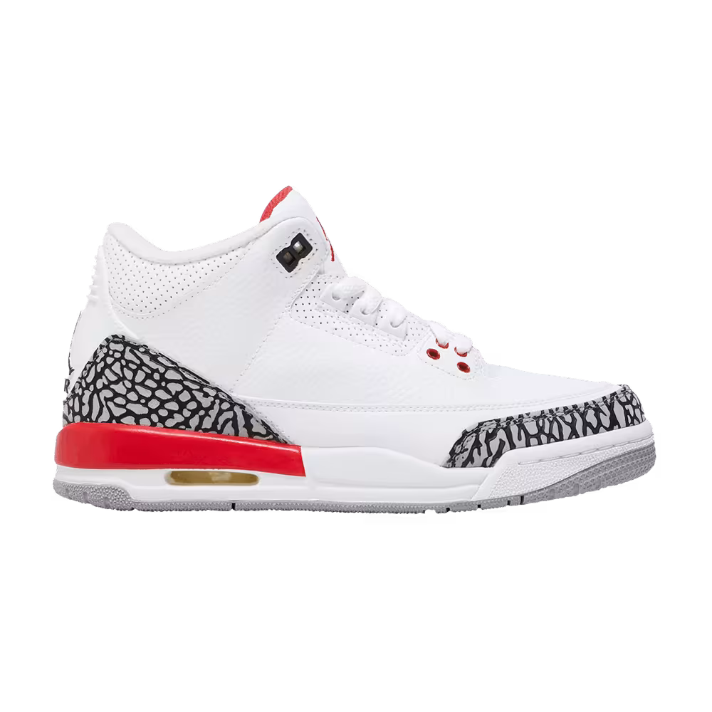 Sneaker Politics x Air Jordan 3 GS Hall of Fame