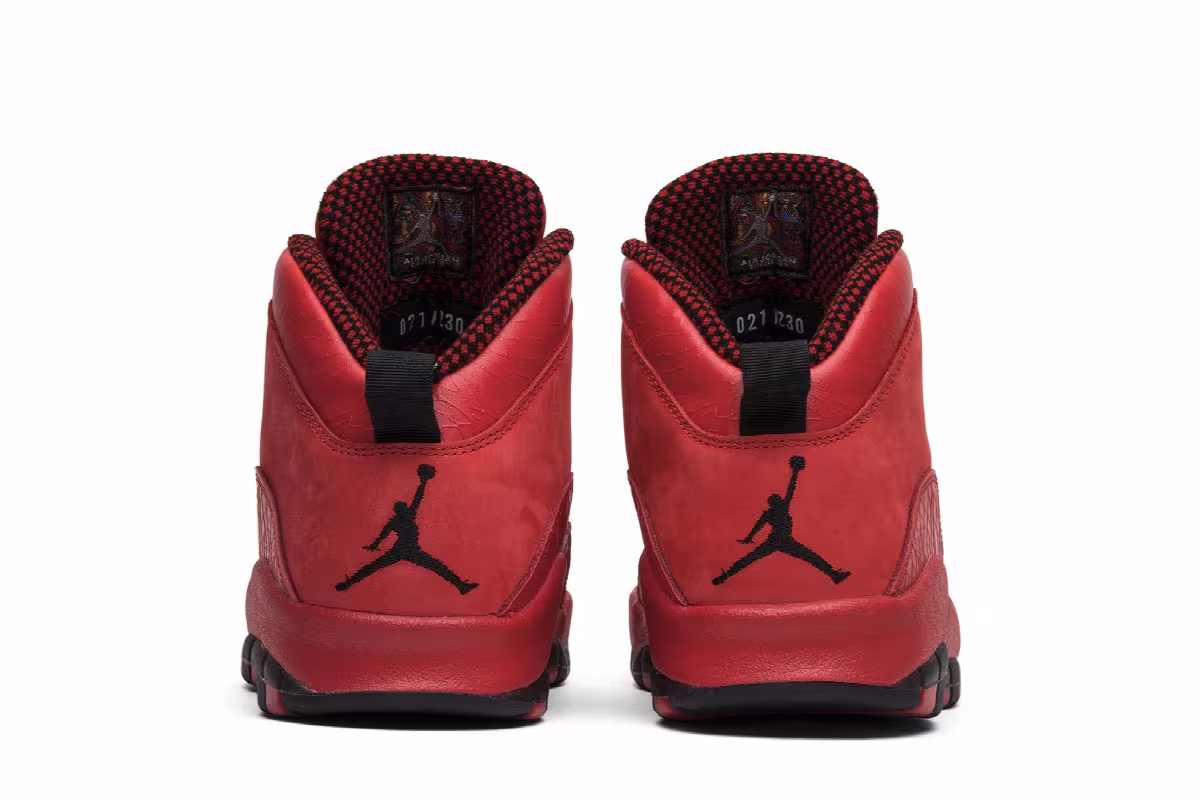 Steve Wiebe x Air Jordan 10 HOH, view 7