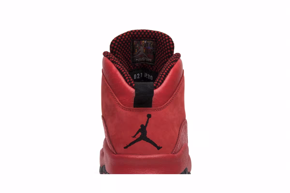 Steve Wiebe x Air Jordan 10 HOH, view 8