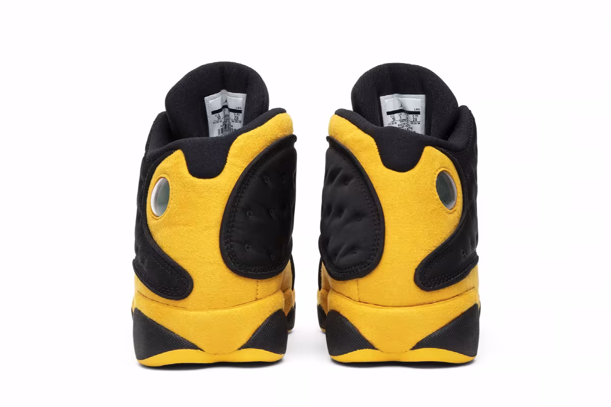 Air Jordan 13 Melo Class of 2002, view 7