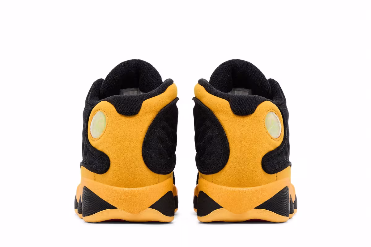 Air Jordan 13 PS Melo Class of 2002, view 7