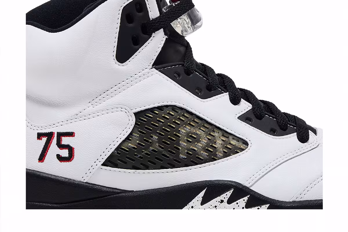 Paris Saint-Germain x Air Jordan 5 Friends & Family, view 3