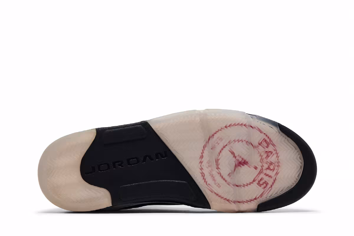 Paris Saint-Germain x Air Jordan 5 Friends & Family, view 5