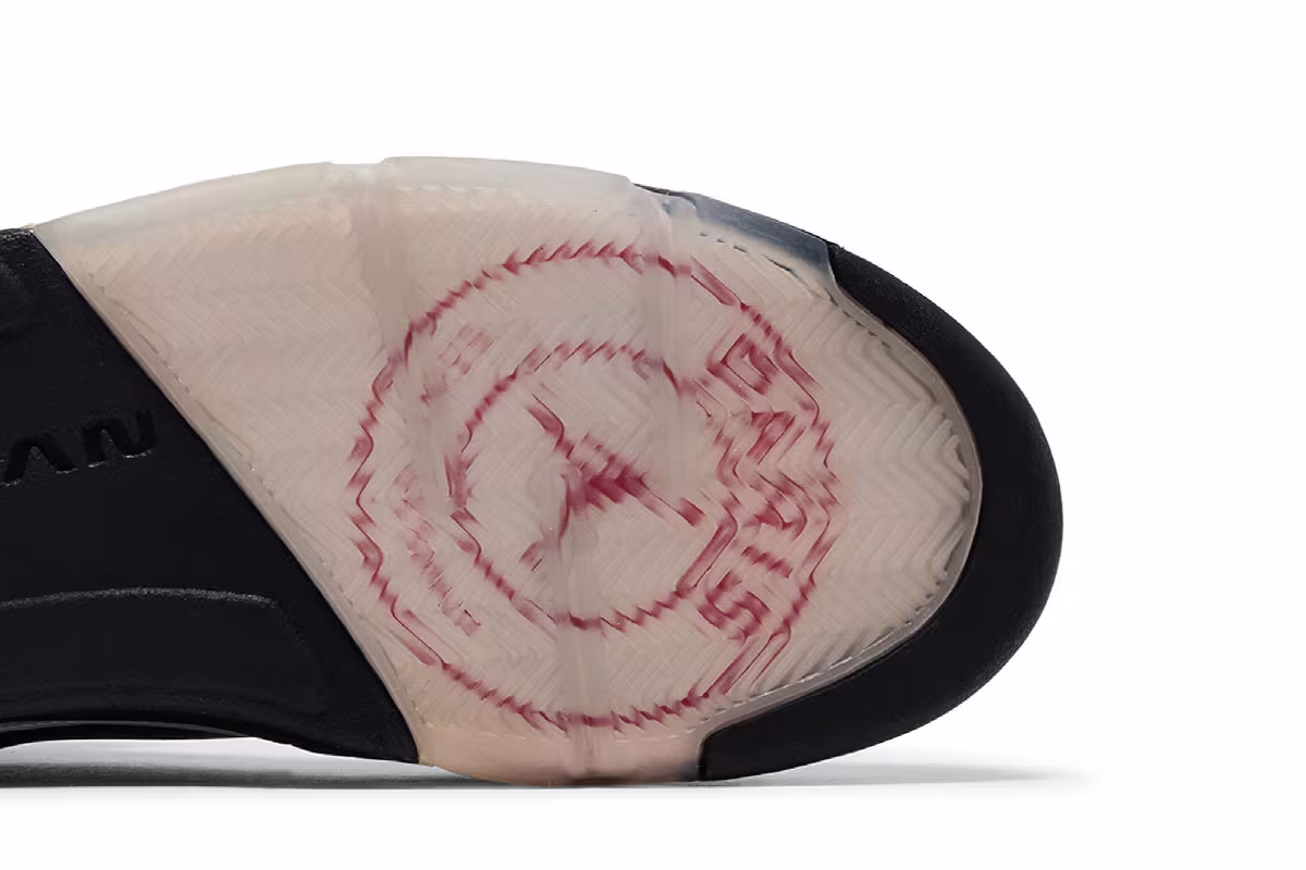 Paris Saint-Germain x Air Jordan 5 Friends & Family, view 6