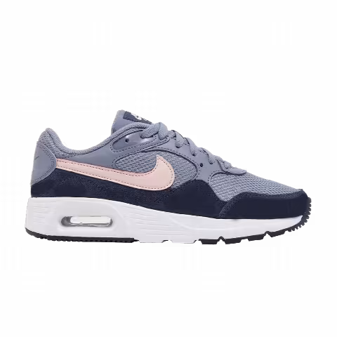 Nike Wmns Air Max SC 'Ashen Slate Midnight Navy'