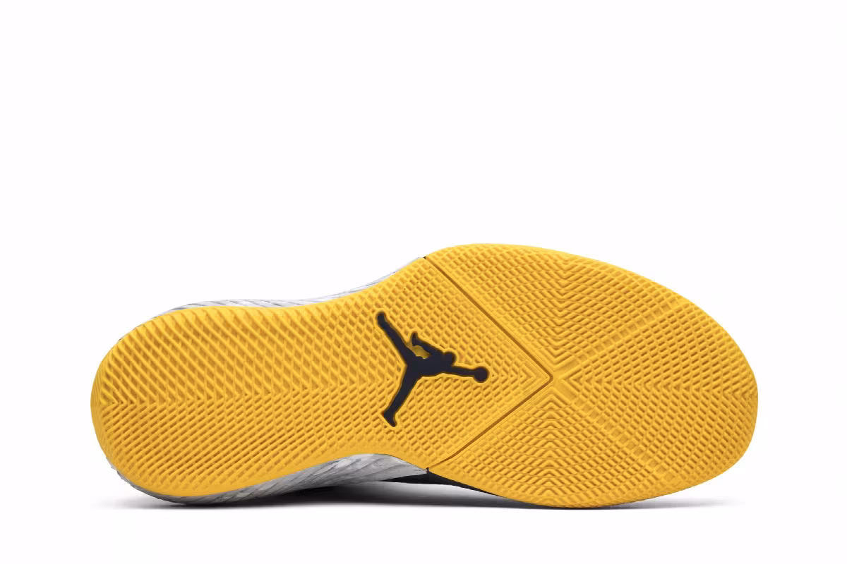 Air Jordan Why Not Zer0.1 Michigan, view 5