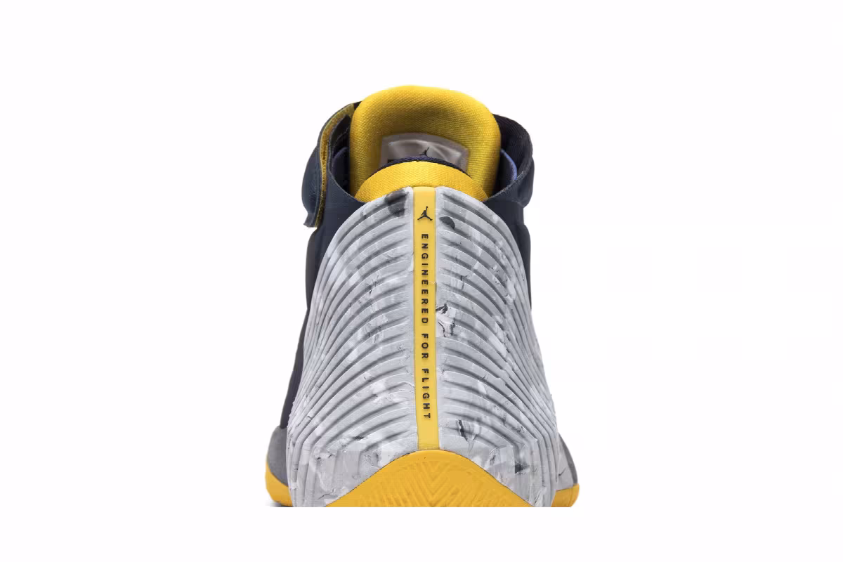 Air Jordan Why Not Zer0.1 Michigan, view 8