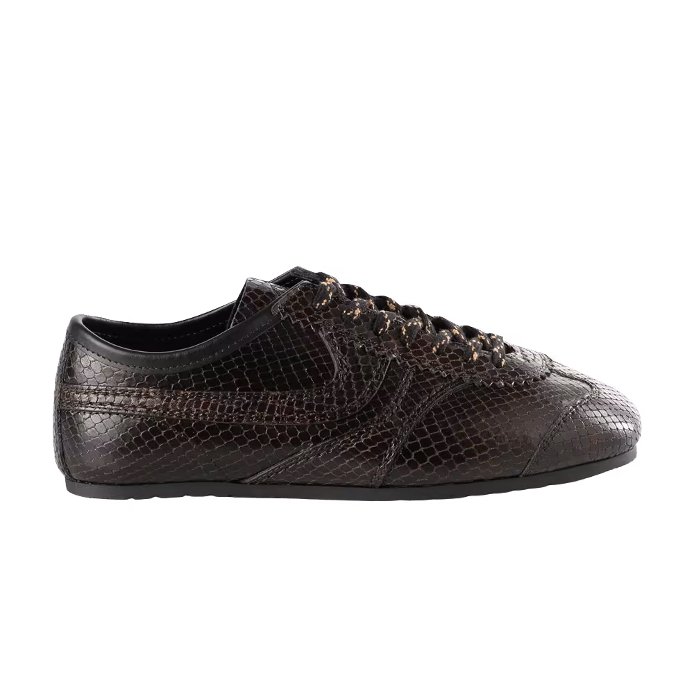 Dries Van Noten Women's Capsule Dark Brown