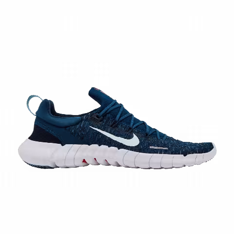 Nike Free Run 5.0 'Valerian Blue'