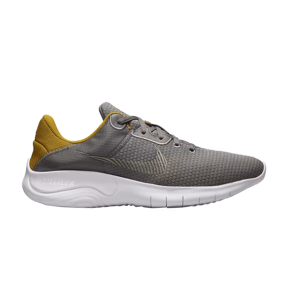 Nike Flex Experience Run 11 Next Nature Flat Pewter Gold