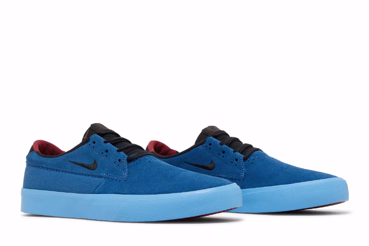 Nike Shane SB Dark Marina Blue, view 9