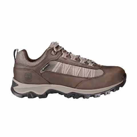 Timberland Mt. Maddsen Lite Low Hiker 'Dark Brown'