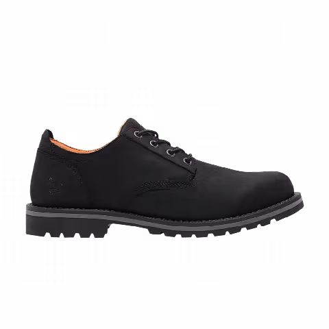 Timberland Redwood Falls Waterproof Shoe 'Black'