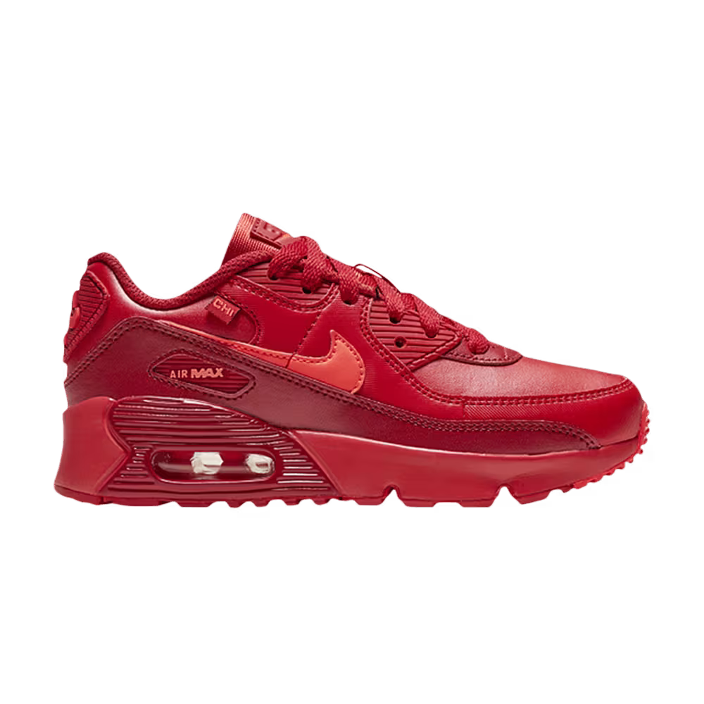 Nike Air Max 90 PS City Special - Chicago
