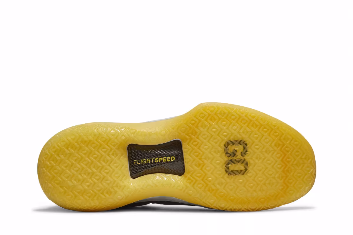 Air Jordan 32 Low Michigan Wolverines, view 5