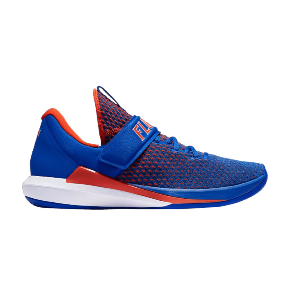 Air Jordan Trainer 3 Florida Gators