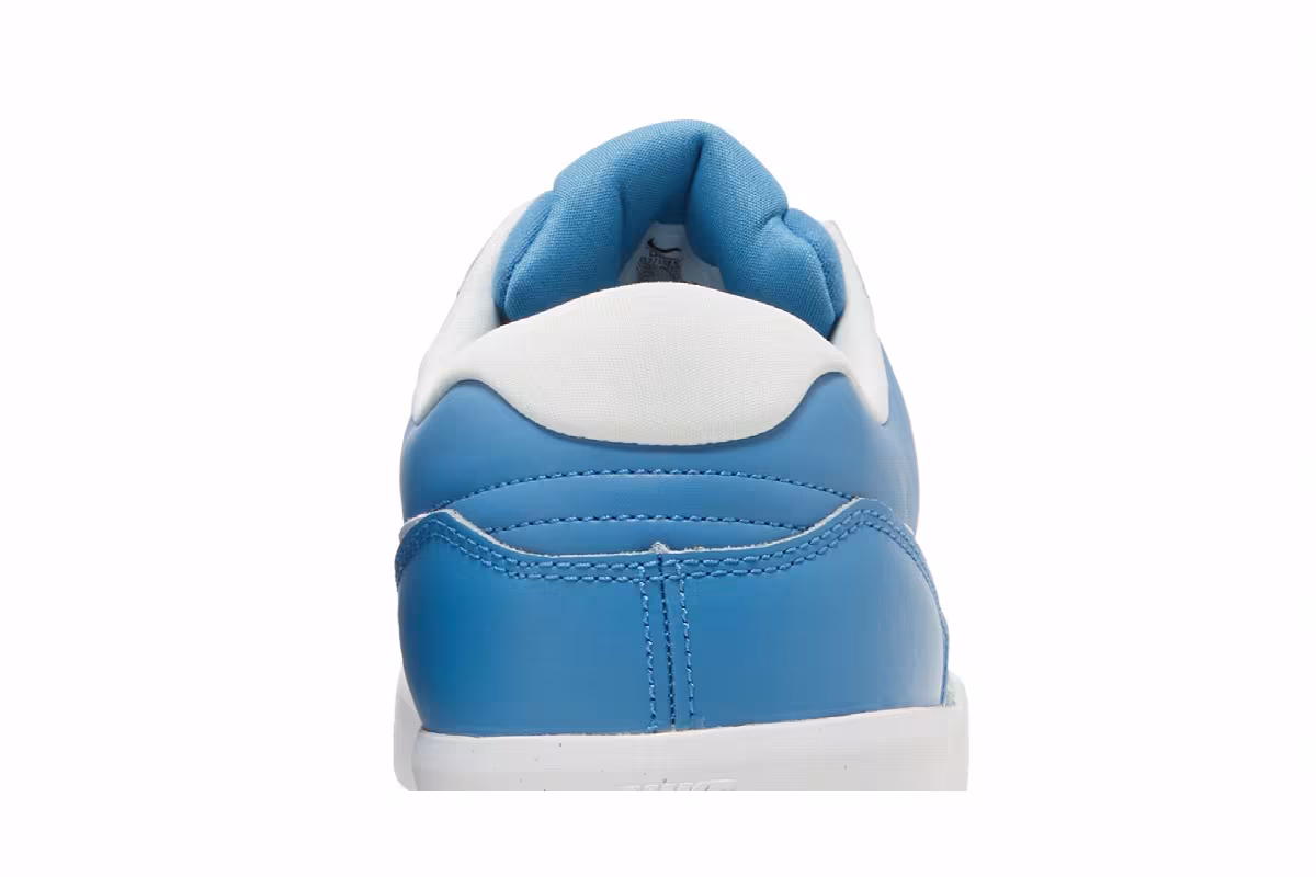 Nike Force 58 Premium SB Dutch Blue, view 8