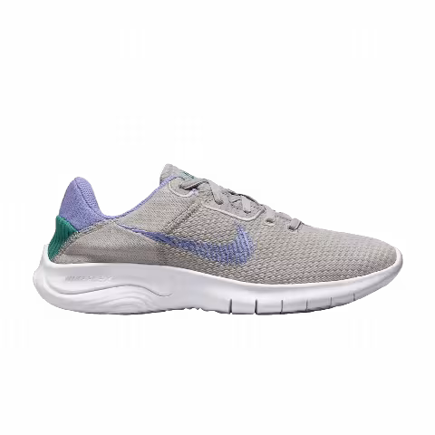 Nike Wmns Flex Experience Run 11 Next Nature 'Light Iron Ore Light Thistle'