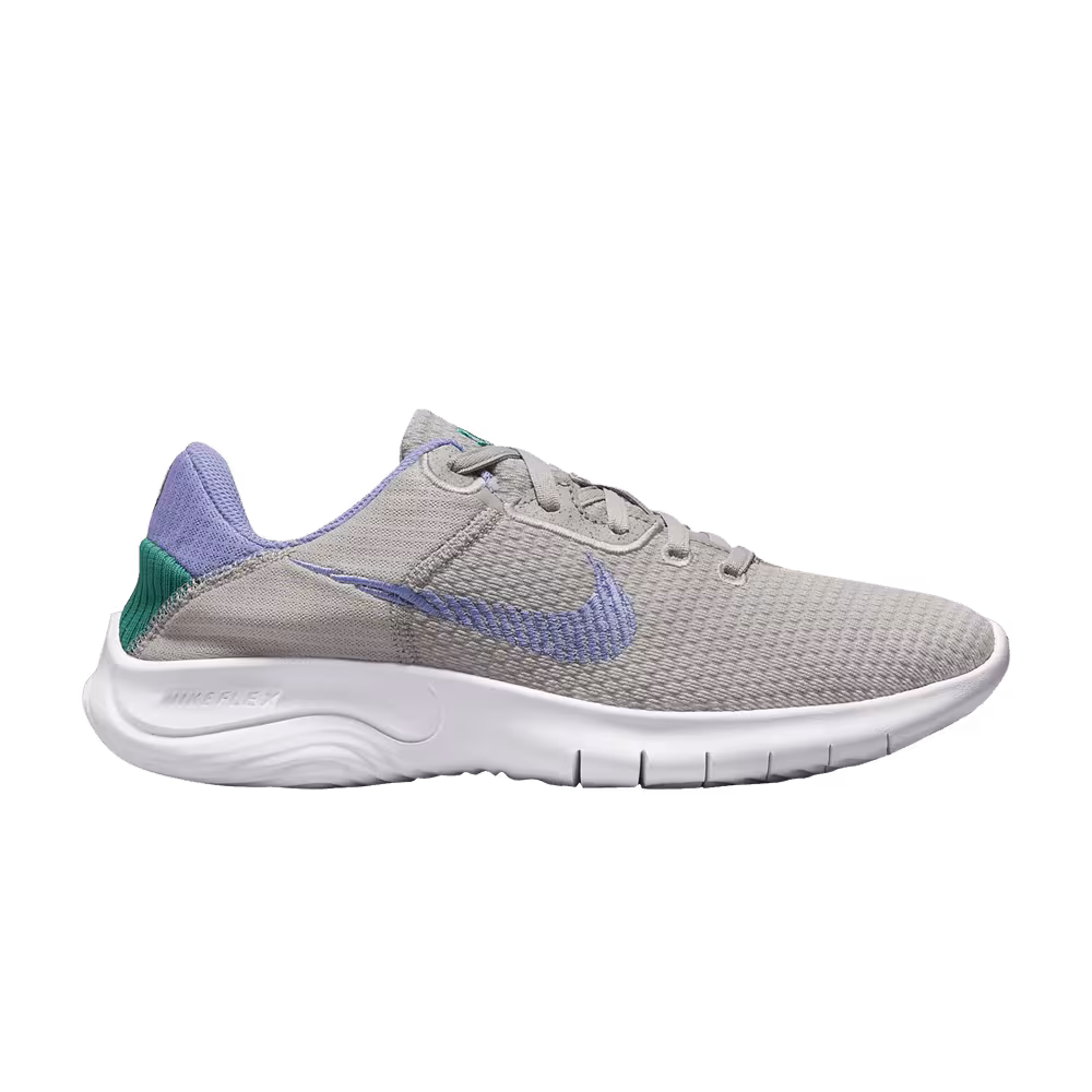 Nike Women's Flex Experience Run 11 Next Nature Light Iron Ore Light Thistle