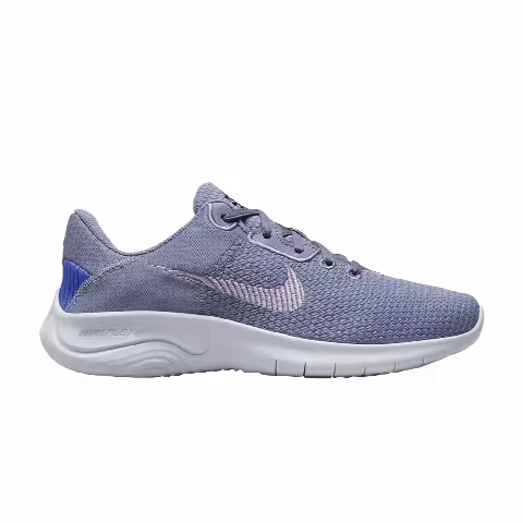 Nike Wmns Flex Experience Run 11 Wide 'Ashen Slate'