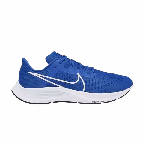 Nike Air Zoom Pegasus 38 TB 'Game Royal'