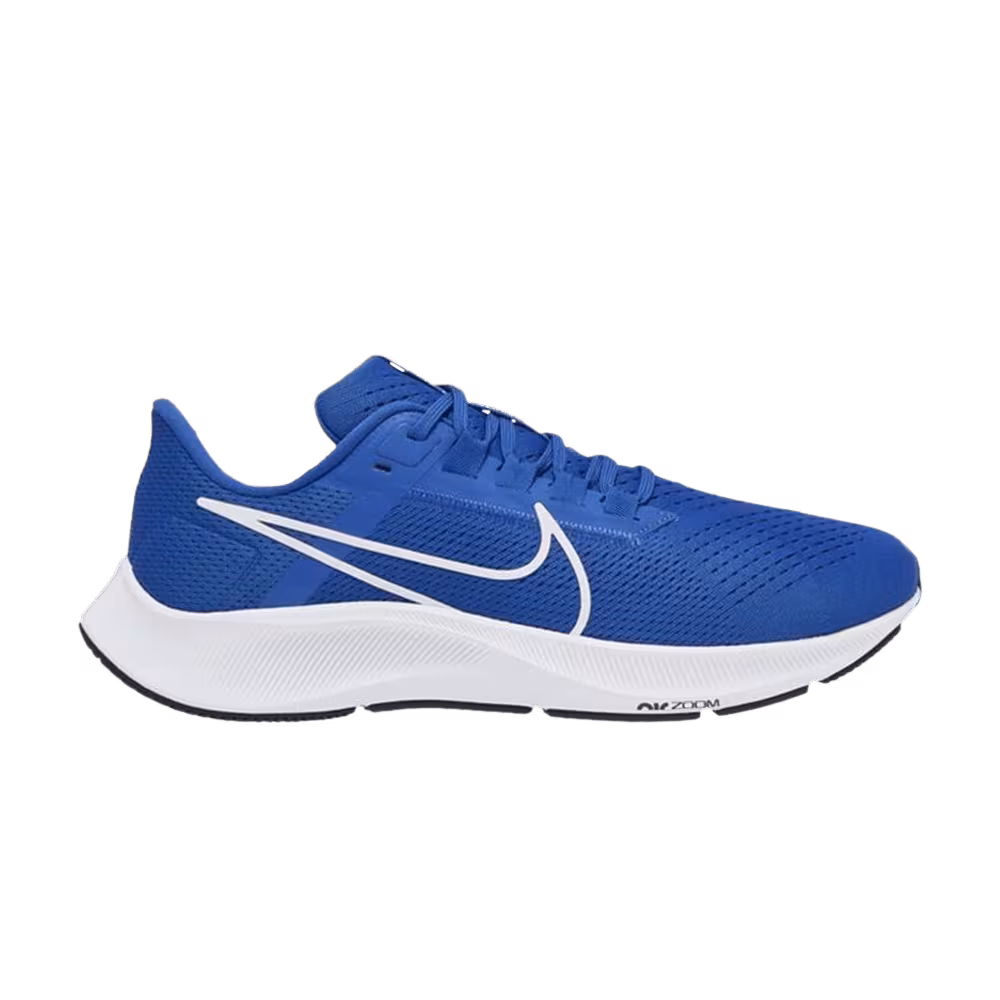 Nike Air Zoom Pegasus 38 TB Game Royal