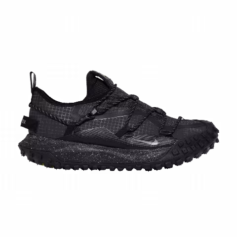 Nike ACG Mountain Fly Low GTX SE 'Dark Smoke Grey'