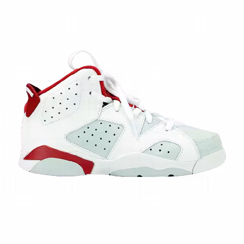 Air Jordan 6 Retro PS 'Alternate'