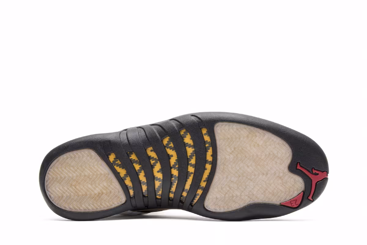 Air Jordan 12 Chinese New Year 2017, view 5