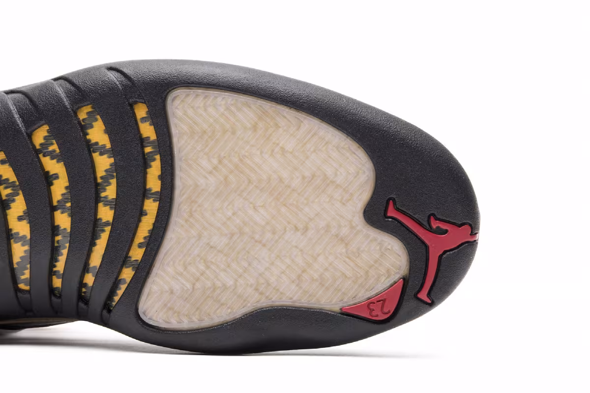 Air Jordan 12 Chinese New Year 2017, view 6