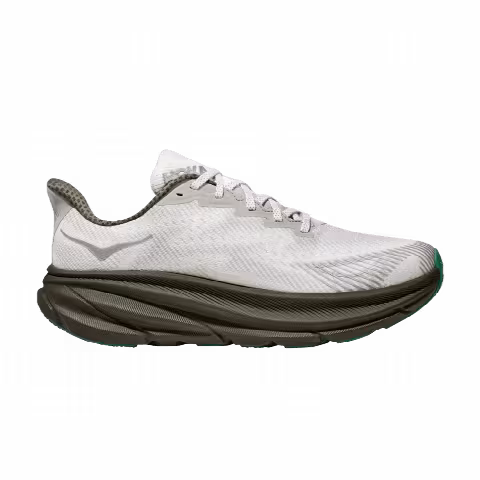 HOKA Clifton 9 GORE-TEX 'Stealth Tech Pack'