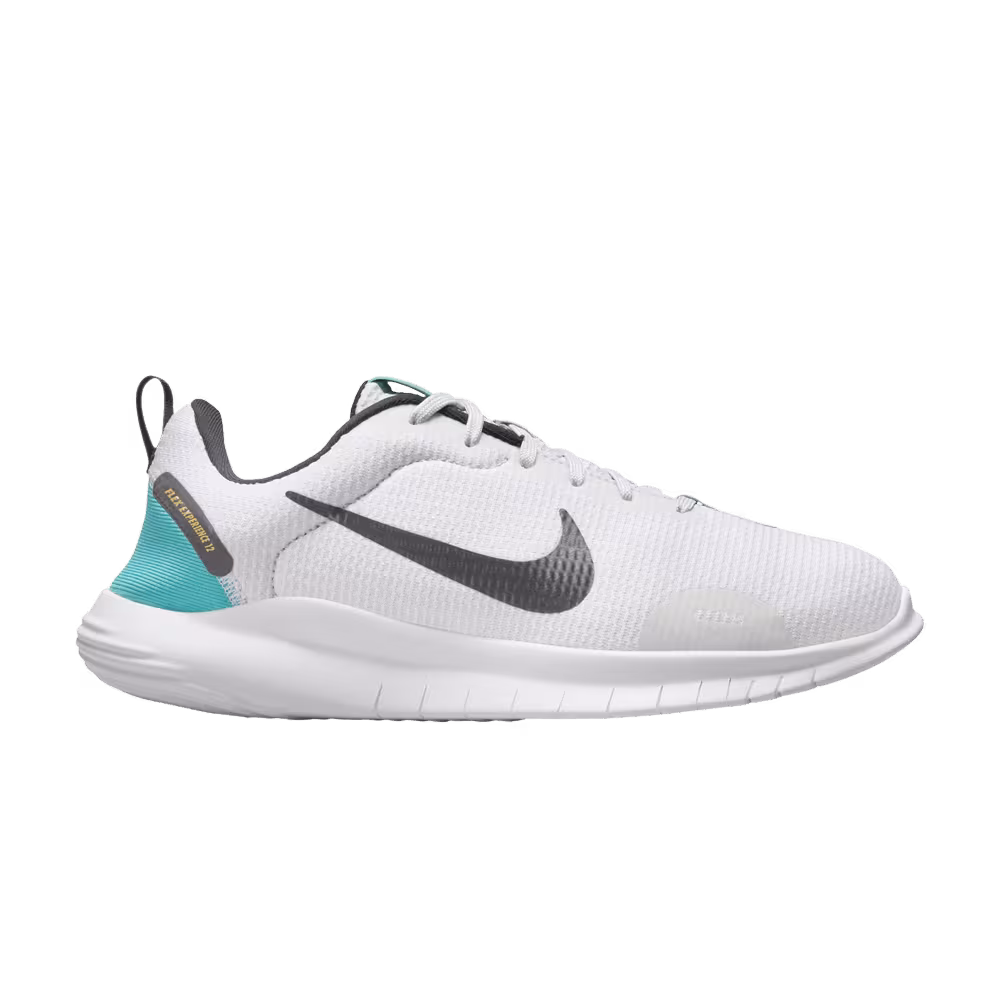 Nike Women's Flex Experience Run 12 Extra Wide Pure Platinum Dusty Cactus
