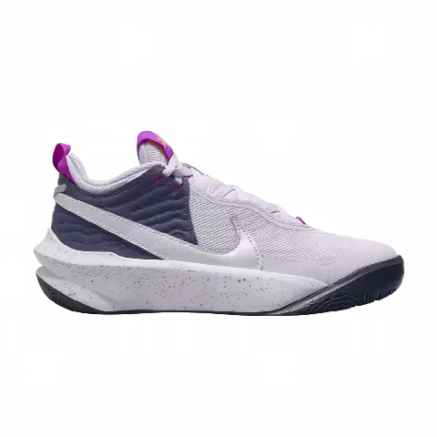 Nike Team Hustle D10 SE GS 'Barely Grape'