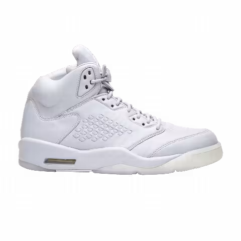 Air Jordan 5 Retro Premium 'Pure Platinum'