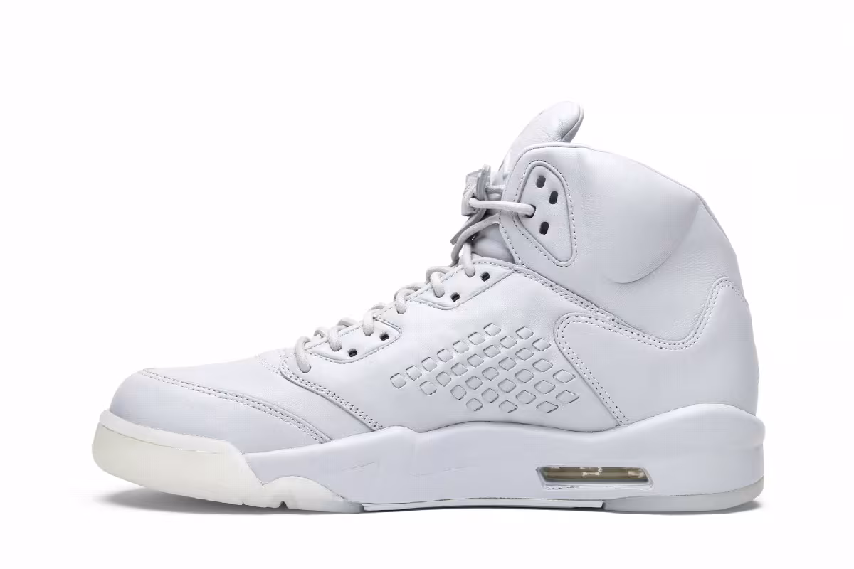 Air Jordan 5 Premium Pure Platinum, view 4