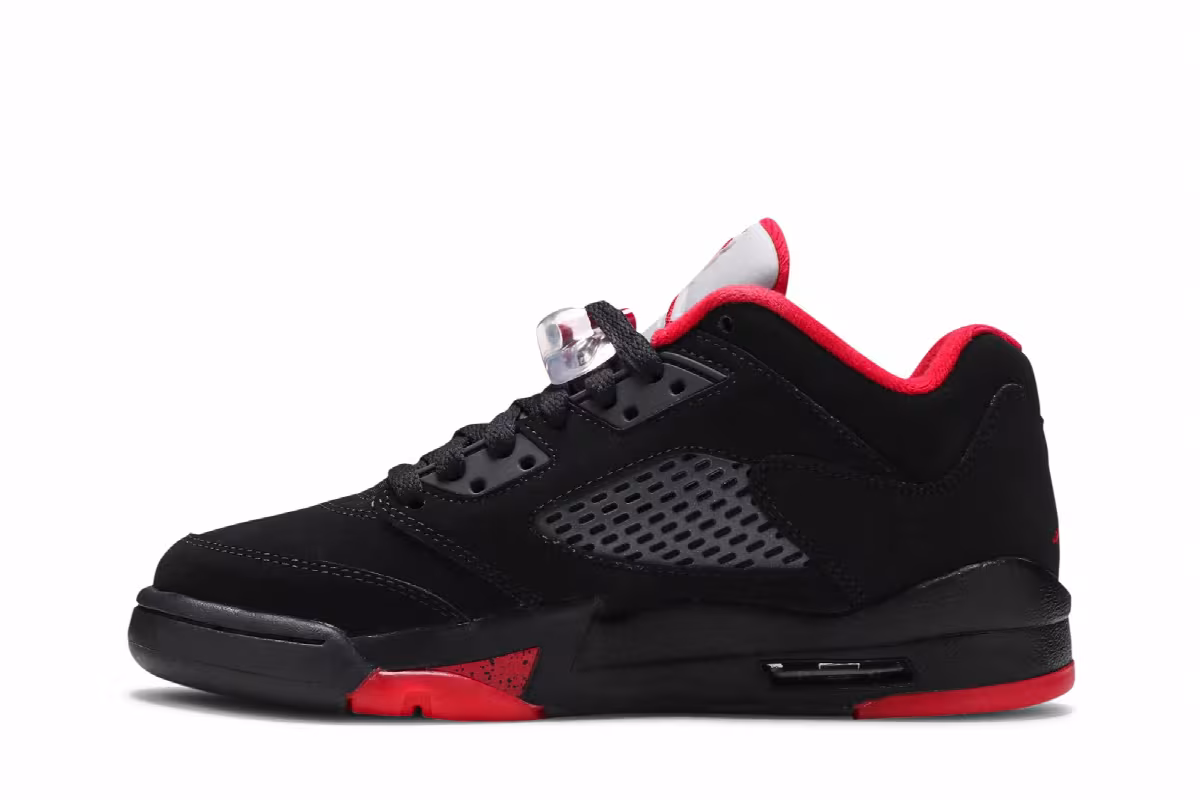 Air Jordan 5 Low BG Alternate 90, view 4