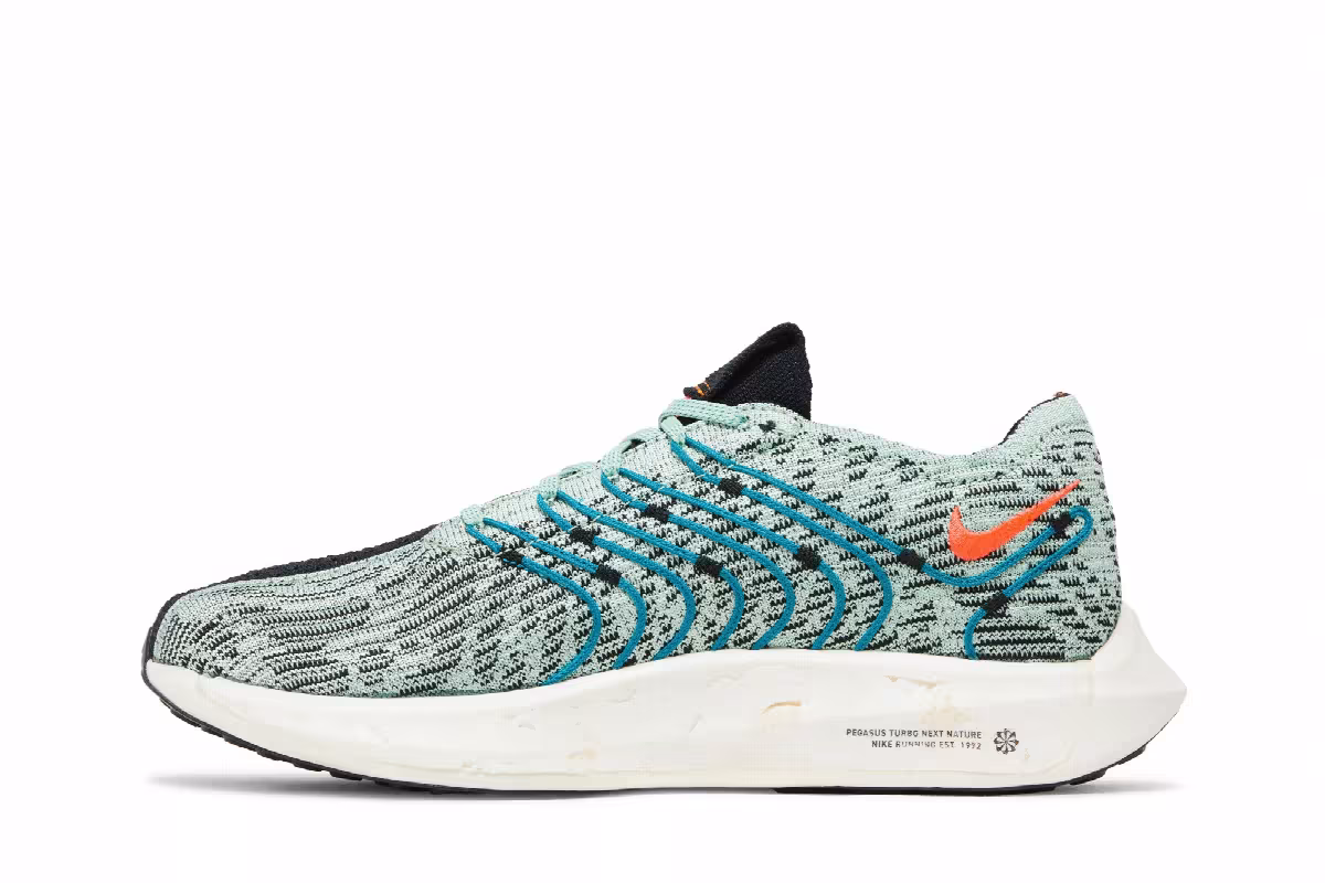 Nike Pegasus Turbo Next Nature 5 Borough Tour, view 4