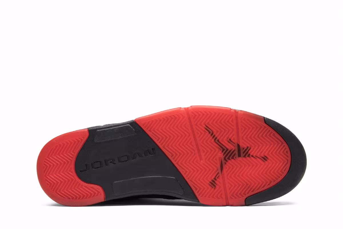 Air Jordan 5 Low Alternate 90, view 5