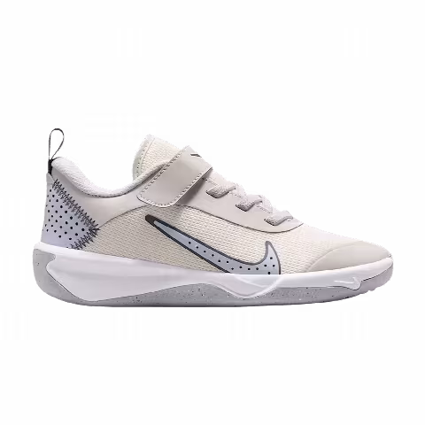 Nike Omni Multi-Court PS 'Platinum Tint'
