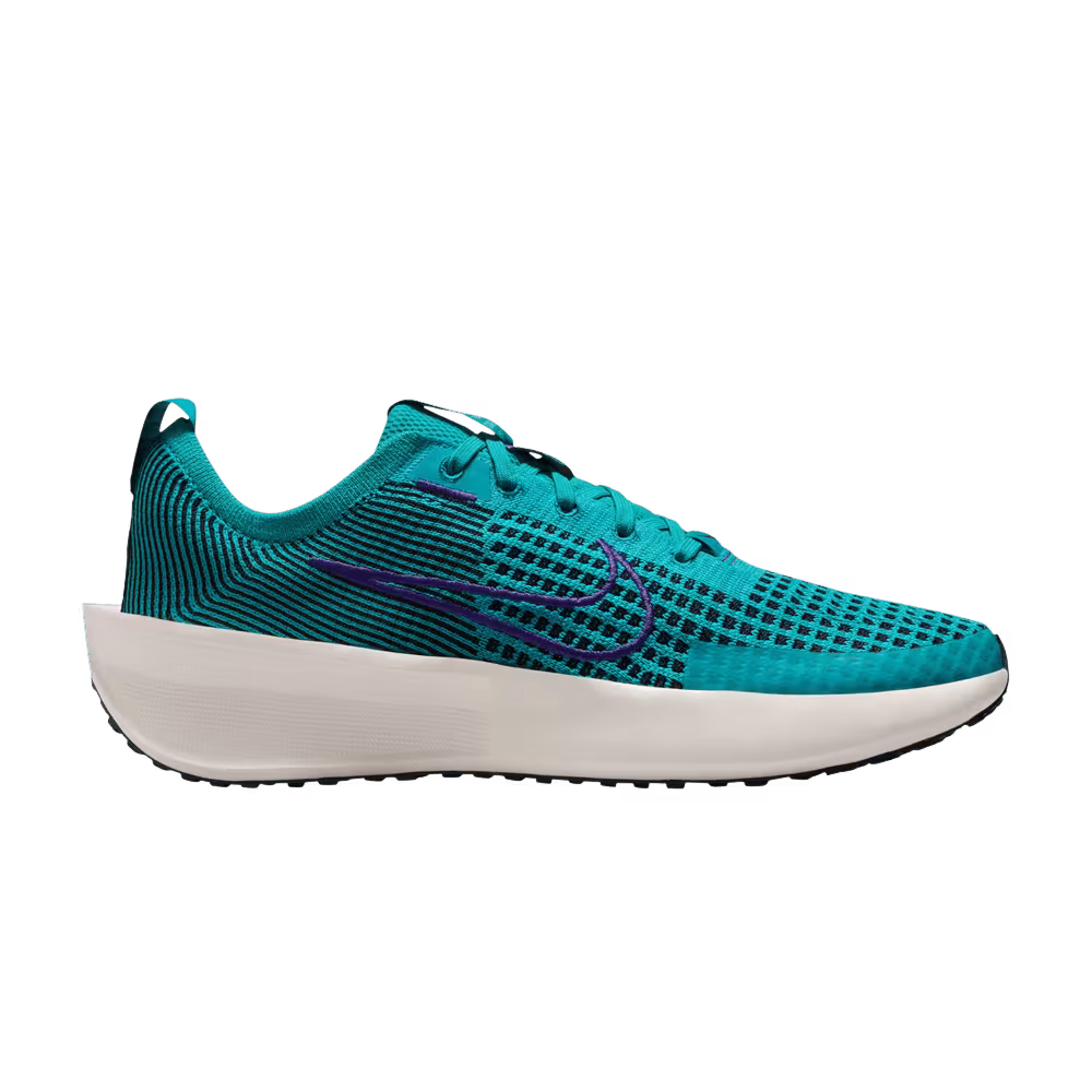 Nike Women's Interact Run Dusty Cactus