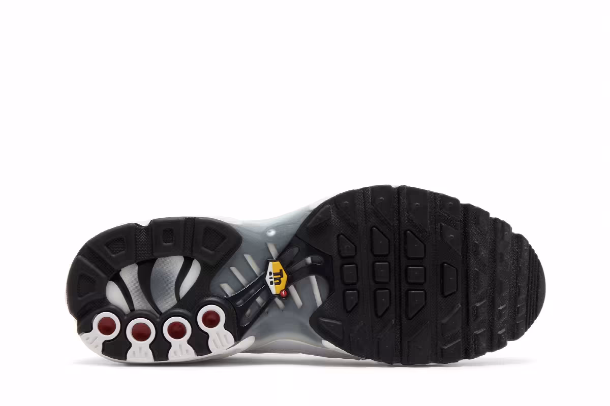 Nike Air Max Plus GS White Cool Grey, view 5