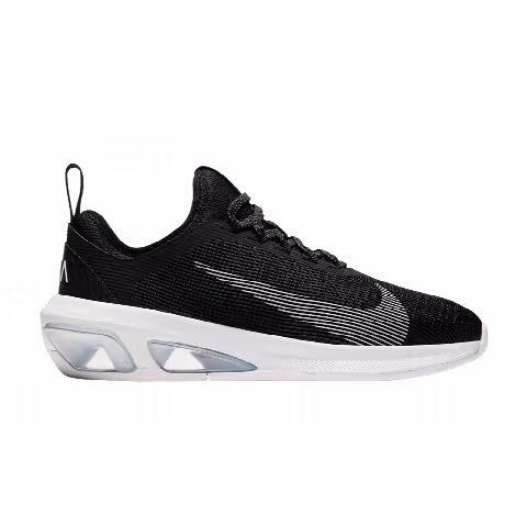 Nike Wmns Air Max Fly 'Black White Wolf Grey'