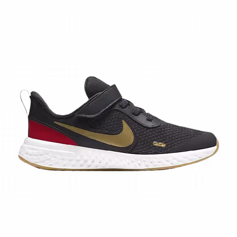 Nike Revolution 5 PS 'Dark Smoke Grey Gold'