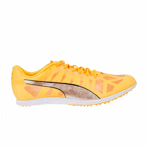 Puma evoSpeed Distance 10 'Sun Stream Metallic Silver'