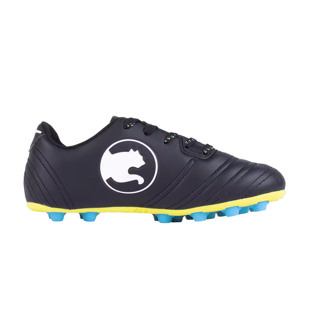 Puma ProCat Speed Force FG Jr Black White