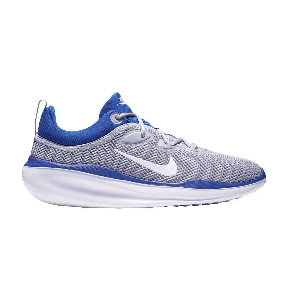 Nike ACMI Wolf Grey Game Royal