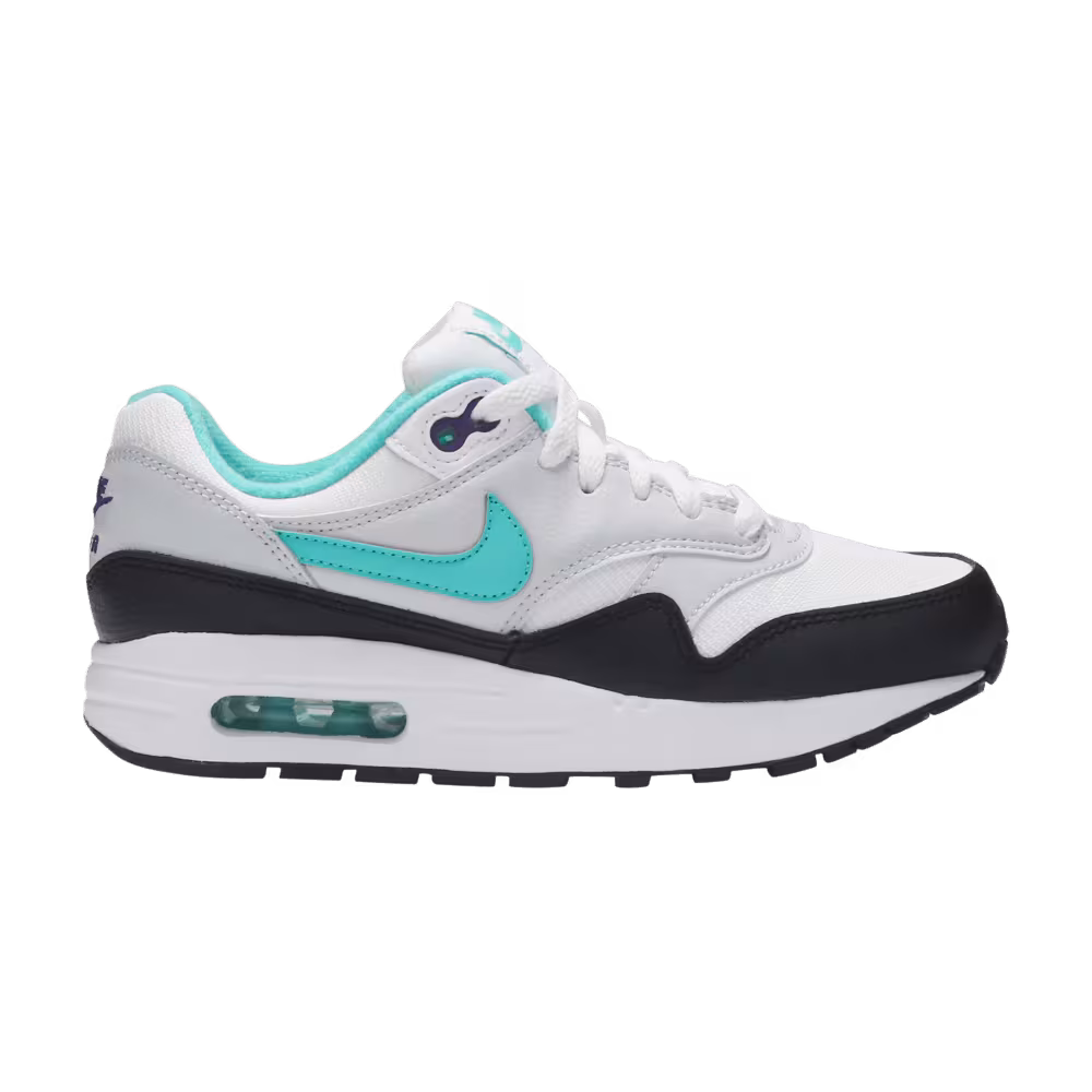 Nike Air Max 1 GS Dusty Cactus